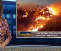 TV Thời Sự Giáo Hội và Thế Giới Ngày Nay, 26/8/2019 - Liên Hội Đồng Giám Mục Châu Mỹ La Tinh lên tiếng về vụ cháy rừng Amazon