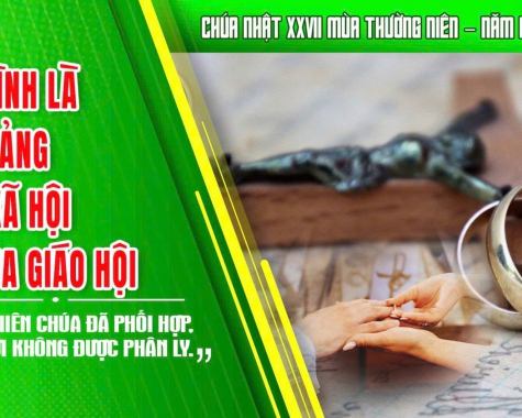 CHÚA NHẬT 27 THƯỜNG NIÊN – NĂM B