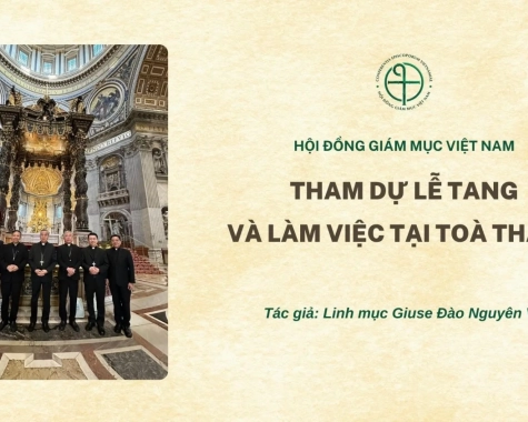 HỘI ĐỒNG GIÁM MỤC VIỆT NAM: THAM DỰ LỄ TANG VÀ LÀM VIỆC TẠI TOÀ THÁNH