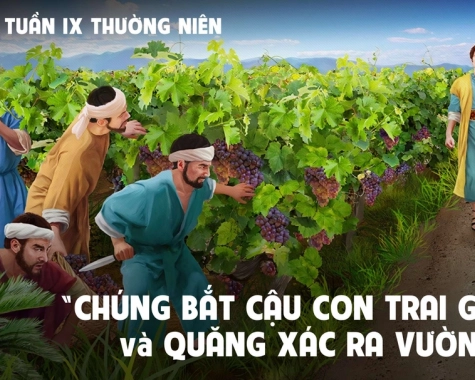 SUY NIỆM THỨ HAI TUẦN IX THƯỜNG NIÊN