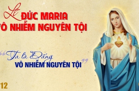 Suy niệm lễ Đức Maria Vô Nhiễm Nguyên Tội