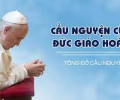 Cầu nguyện cùng Đức Giáo Hoàng ngày 07.8.2022 - Tông đồ cầu nguyện