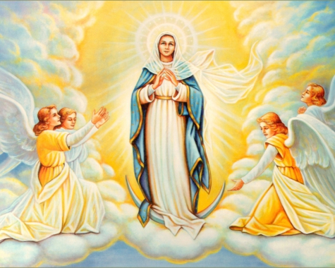 Thứ Ba tuần 20 thường niên – Đức Maria Nữ Vương