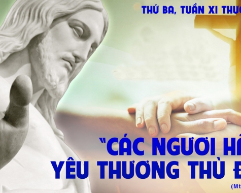 suy niệm - Thứ Ba Tuần 11 thường niên