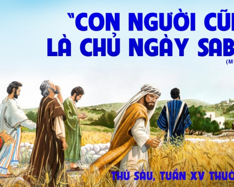 Suy niệm - Thứ Sáu tuần 15 thường niên