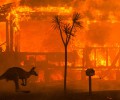 Video: Giữa thảm họa cháy rừng tràn lan tại Úc, một người Việt Nam lại bị bắt quả tang đang nhóm lửa trong rừng