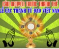 Cầu nguyện trước Thánh Thể- Ngày 17.11.2019 – Lễ Các Thánh Tử Đạo Việt Nam – Lc 9,23-26