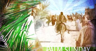 Palm Sunday 310x165