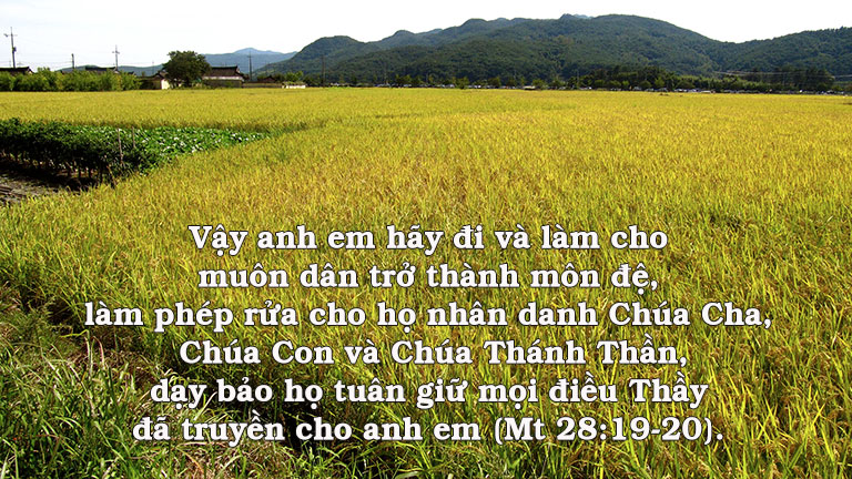 Thứ Tư 23/09/2020: Rao truyền Lời Chúa – Suy Niệm của Linh Mục Phaolô Nguyễn Trọng Thiên